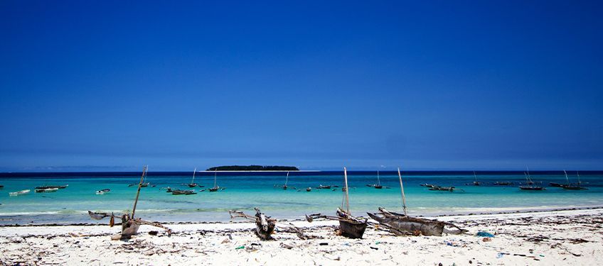 l'automne  zanzibar