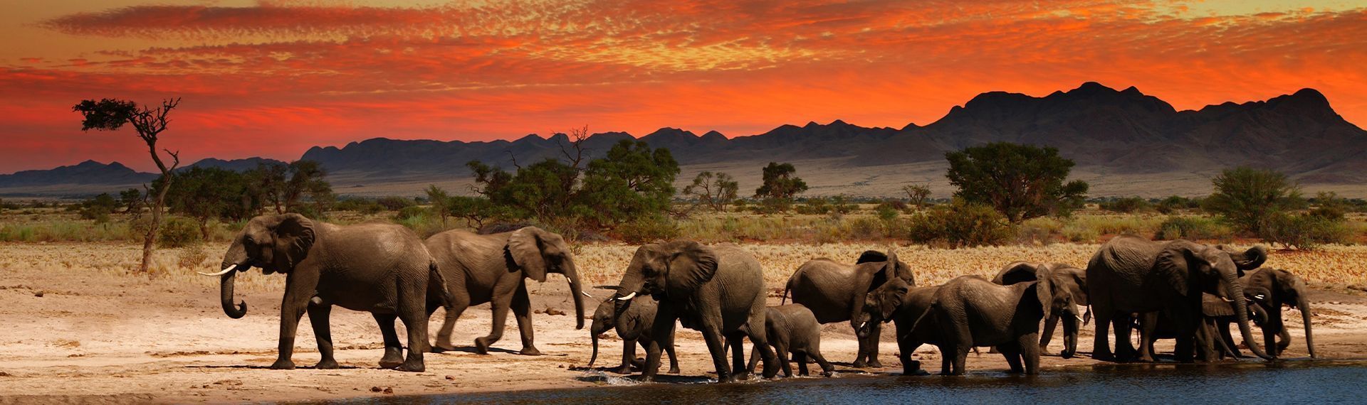 actualites - afrique