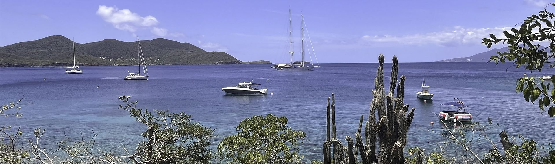 Nos conseils d’experts - guadeloupe