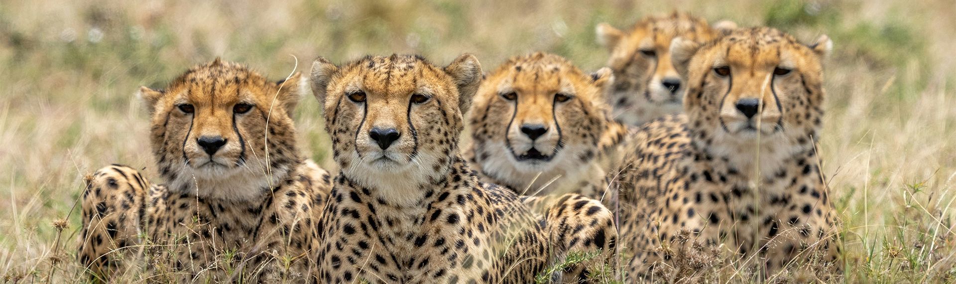 actualites - kenya