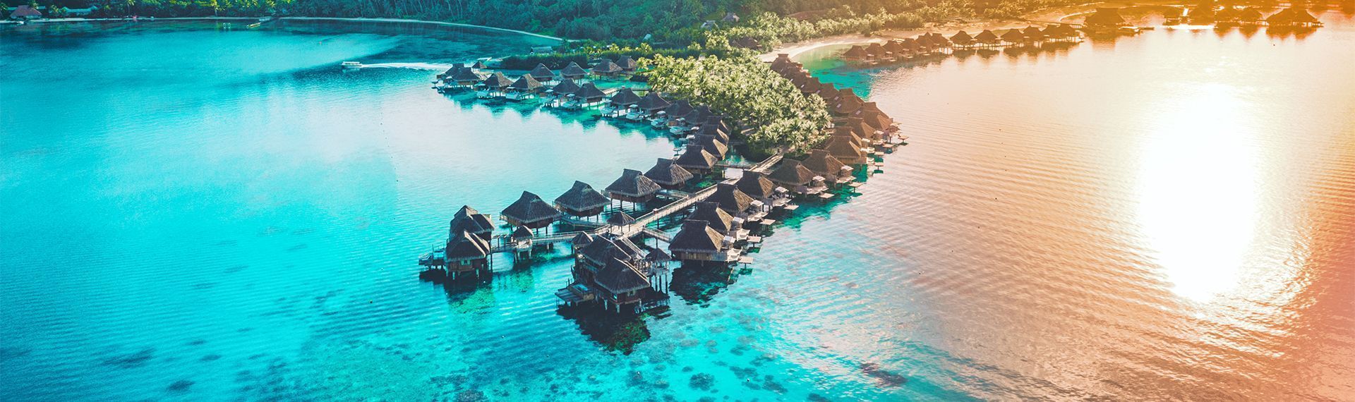 actualites - polynesie