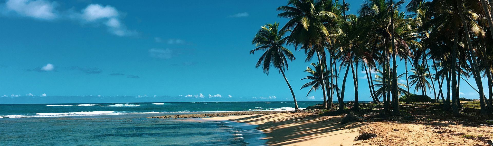 Culture locale - republique dominicaine