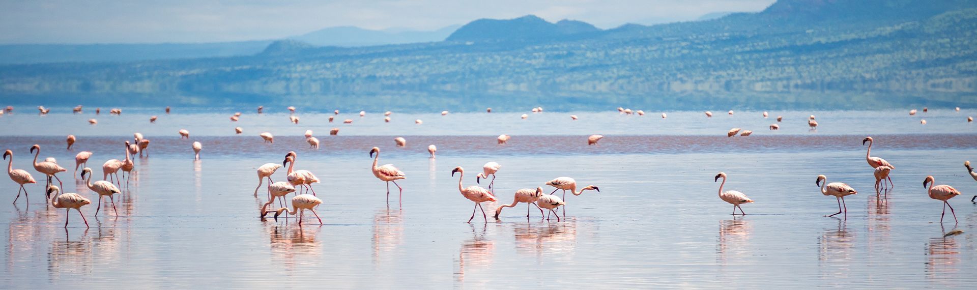 actualites - tanzanie