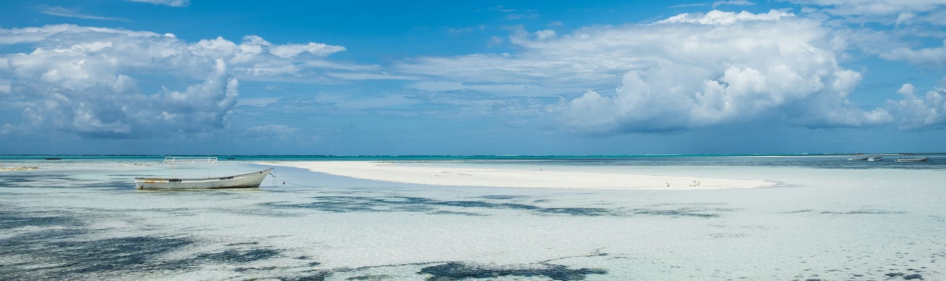 actualites - zanzibar