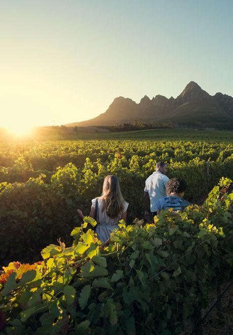 sejour afrique du sud