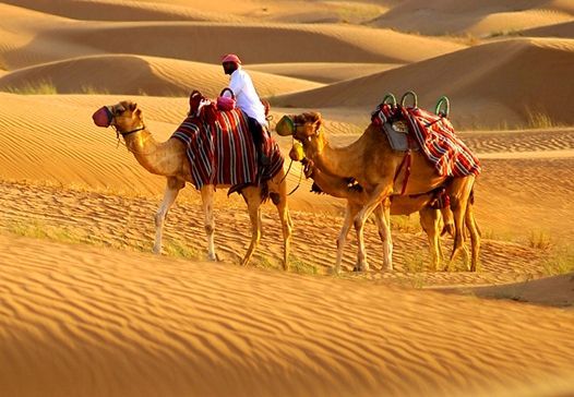 voyager hors desvsentiers battus