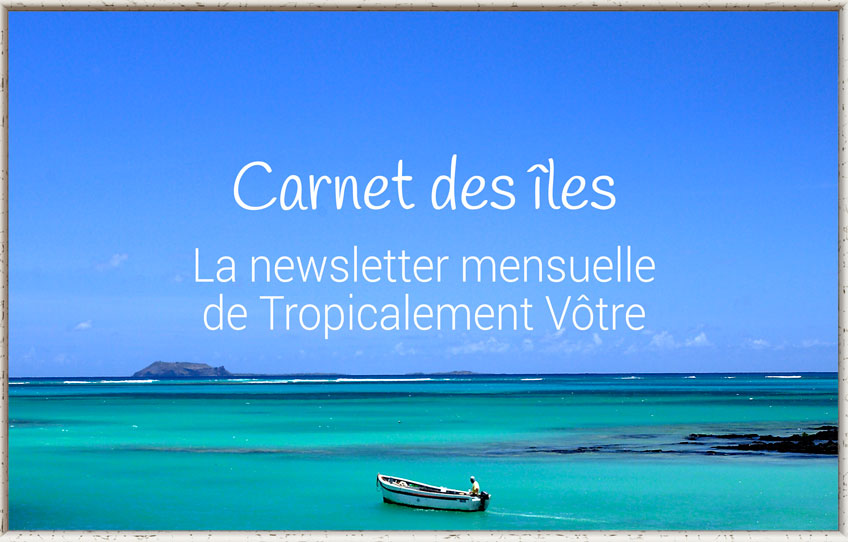newsletter