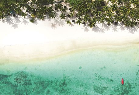 10 raisons d'aller  l'Ile Maurice