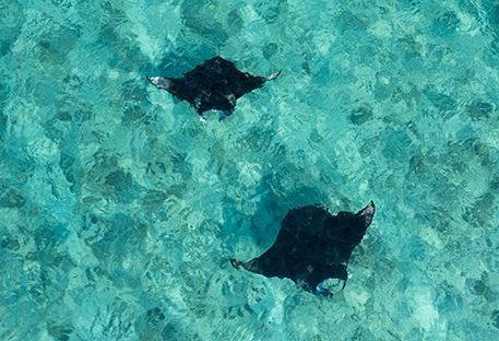 10 raisons d'aller aux Maldives