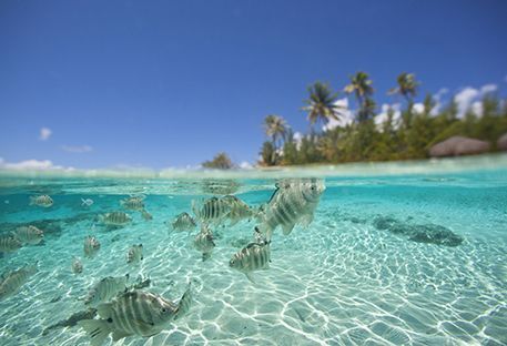 10 raisons d'aller en Polynsie