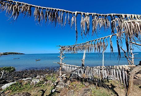 Nos idées de séjours à Rodrigues