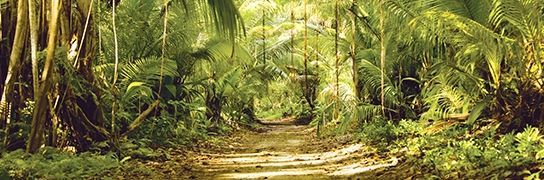 guide eco-friendly