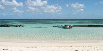 ou partir en janvier ?