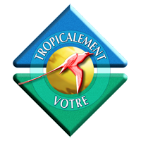 ancien logo